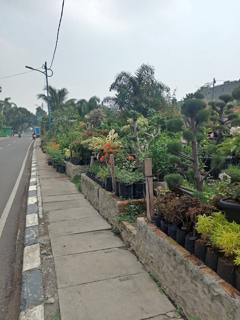 Gerai Tanaman Hias